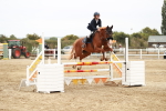 Class 3 - Senior Discovery - 1.00m Open portfolio
