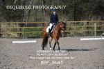 BPP_8685