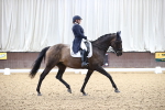SBM_016216