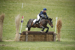 BVHT 140517  NXC -245