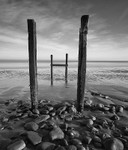 Between the Posts