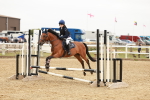 SBM_007676