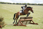 BVHT 140517  IXC -193