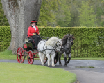 Attelage -611