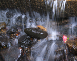 Rock Pool