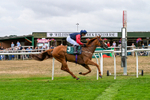 170826-Race 5-Our Absent Friends-9770