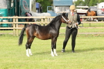 SBM_00441