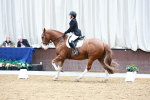 SBM_003246