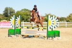 SBM_006642
