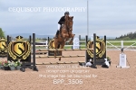 BPP_3506