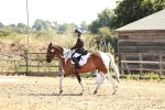 SBM_000779