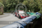 Petit Bot Hillclimb_2015_CAR-79