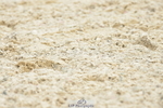 250719A-151756-06759