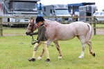 SBM_09439