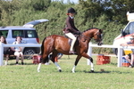JPP_2014