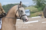 BPP_0413