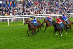 130626-Race 6-Point Of Contact-0641