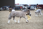 SBM_005977