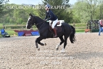 BPP_6641