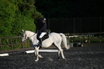 Class 3 Novice 1 portfolio