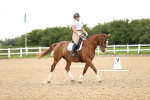 SBM_001912