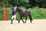 Walk trot run portfolio