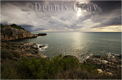 Gallery portfolio