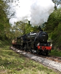 Steam Train