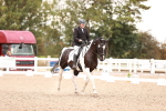 SBM_06408