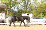 SBM_17976
