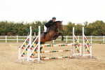 SBM_008987