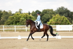 SBM_004603