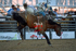 3HRodeo8-5-24_CFD_3HR-YUMA- 0772_