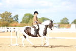 SBM_15869