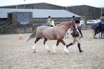SBM_006163
