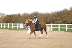 SBM_000885