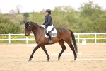 SBM_008488