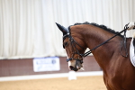 SBM_007989