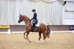 SBM_001646
