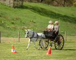 Attelage -832