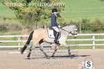 BPP_8451