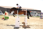SBM_008029