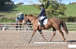 BPP_9172