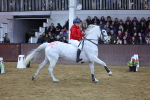 SBM_004594