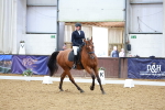 SBM_004151