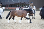 SBM_006398