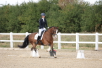 SBM_014677