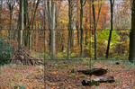 Homage to Hockney