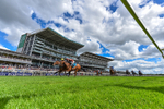 Race 4 15.35pm Juddmonte EBF Fillies' Restricted Novice portfolio