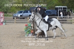 BPP_3316
